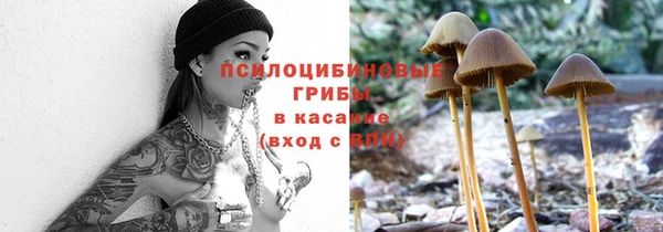 мдпв Мегион