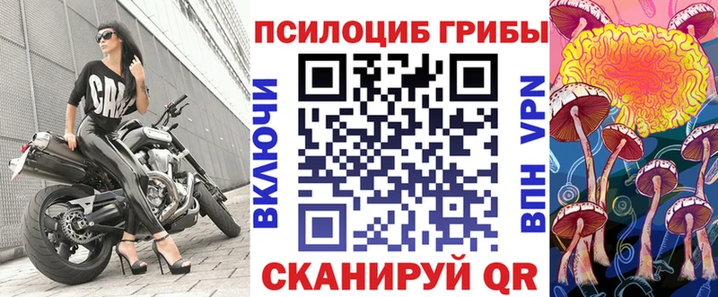 Купить где  Красноярск  Псилоцибиновые грибы GOLDEN TEACHER 